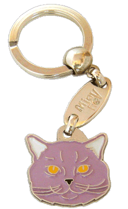 British Shorthair lila - Placa grabada, placas identificativas para gatos grabadas MjavHov.